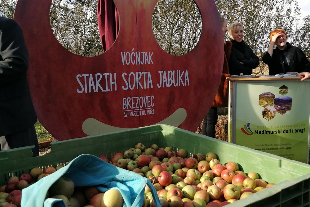 U voćnjaku starih sorti jabuka u Brezovcu obilježen Svjetski dan jabuka