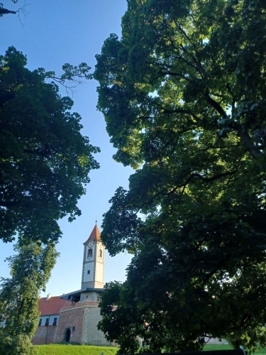 Hana-Krištofić-(1)