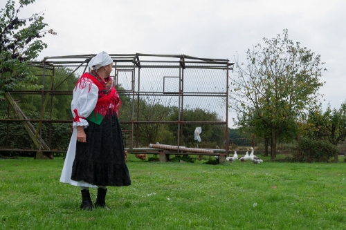Idora-Gogić