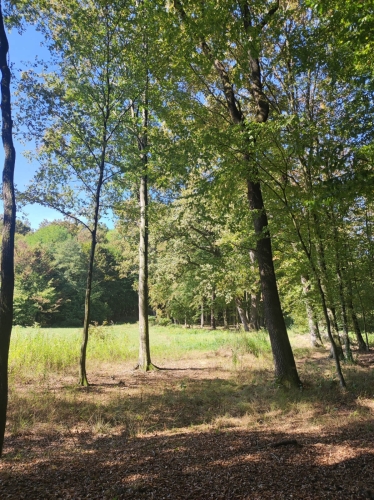 Mia-Dovečer-(3)