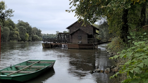 Šimun-Zubović-(2)