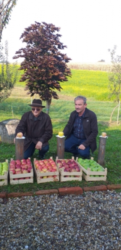 Svjetski dan jabuka u voćnjaku starih sorti jabuka u Brezovcu - 10