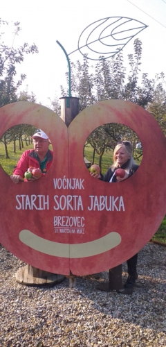 Svjetski dan jabuka u voćnjaku starih sorti jabuka u Brezovcu - 13
