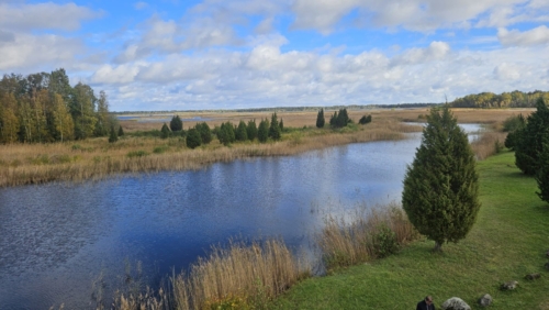 20261009 111308 (Large)