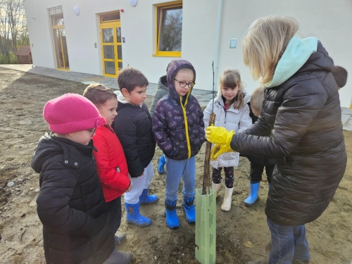 Mala-Subotica-2-Large