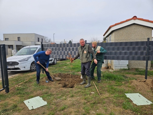Strahoninec-2-Large